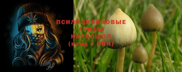гидра Алзамай