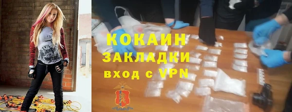 шишки Алексеевка
