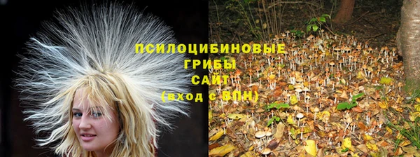 каннабис Алексин
