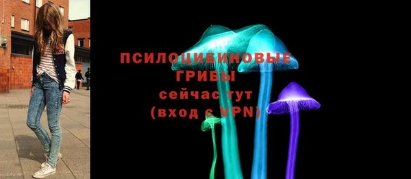 не бодяженный Осташков