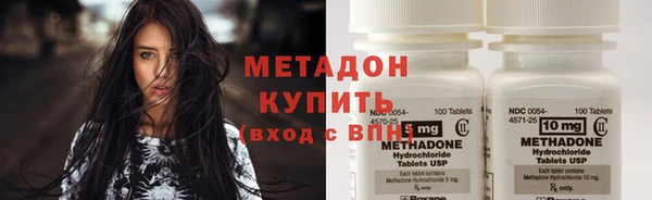 прущие грибы Осинники