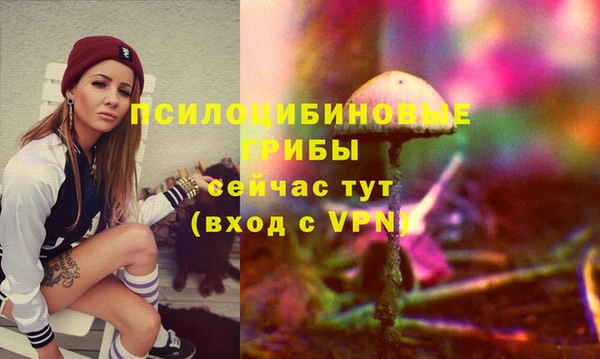 гидра Алзамай